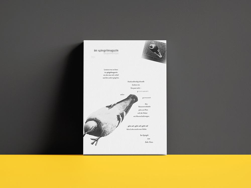 FineArt-Print auf Leinwand „im spiegelmagazin“