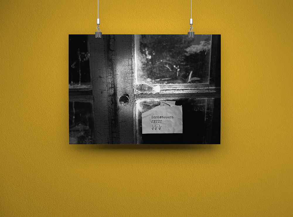 FineArt-Print „Zornsteuern jetzt“